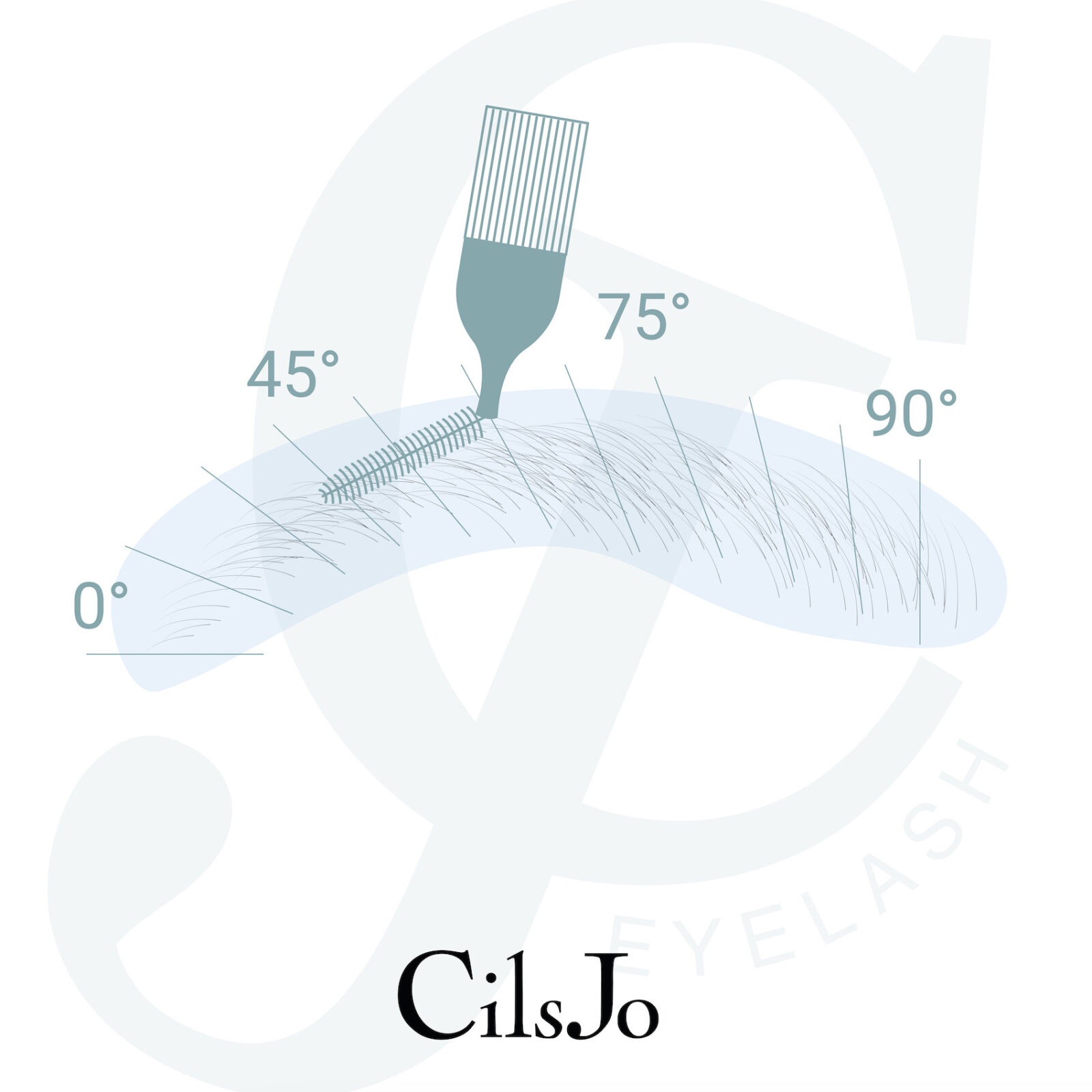 Protocole rehaussement brow lift