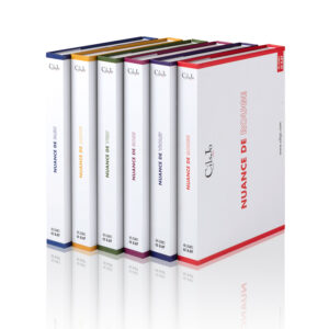 Extensions de cils colorées - la gamme nuance by CilsJo